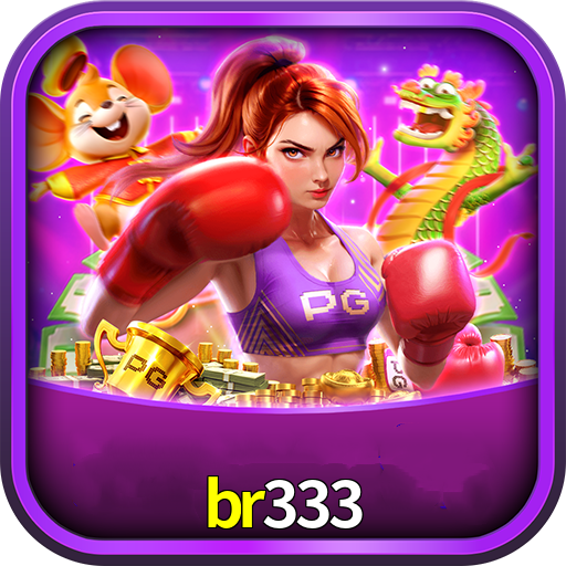 br333 App